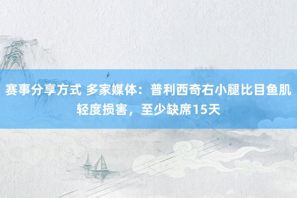 赛事分享方式 多家媒体：普利西奇右小腿比目鱼肌轻度损害，至少缺席15天