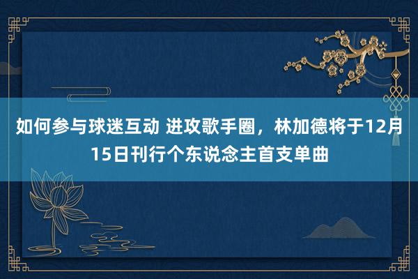 如何参与球迷互动 进攻歌手圈，林加德将于12月15日刊行个东说念主首支单曲