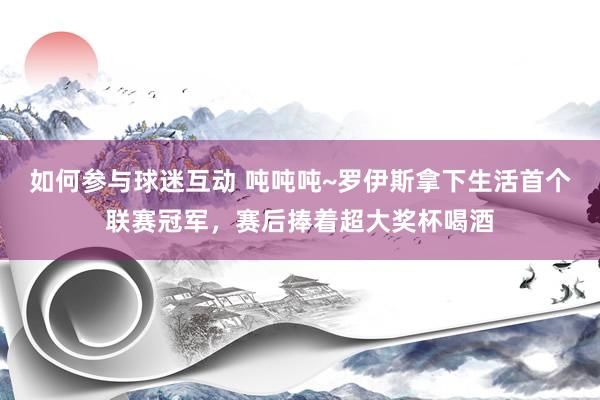 如何参与球迷互动 吨吨吨~罗伊斯拿下生活首个联赛冠军，赛后捧着超大奖杯喝酒